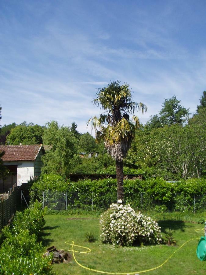 L'Ancien Patronage Pension Caumont-sur-Garonne Buitenkant foto